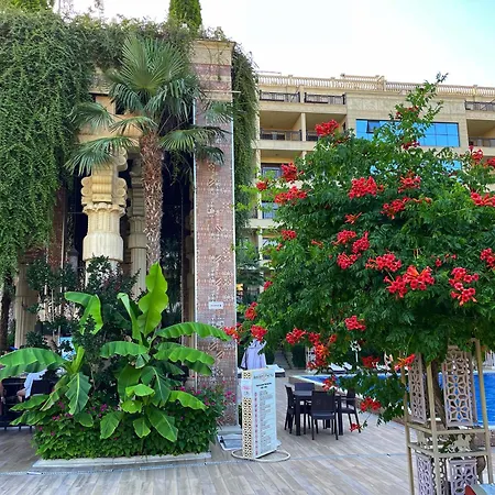 Delux Argisht * ゴールデンサンド