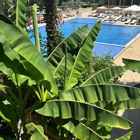 Delux Argisht דירה